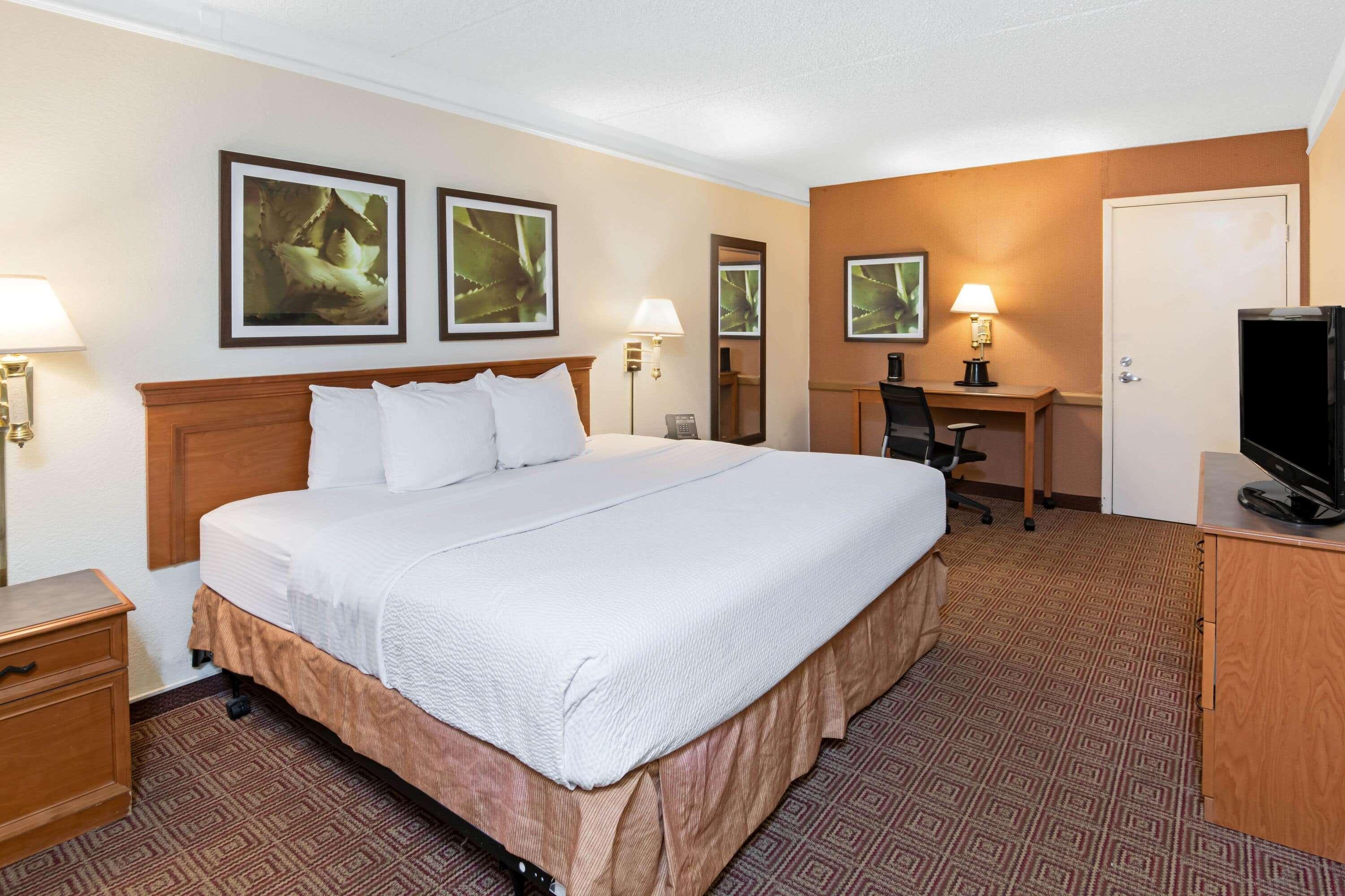 La Quinta Inn By Wyndham San Antonio Lackland Екстер'єр фото